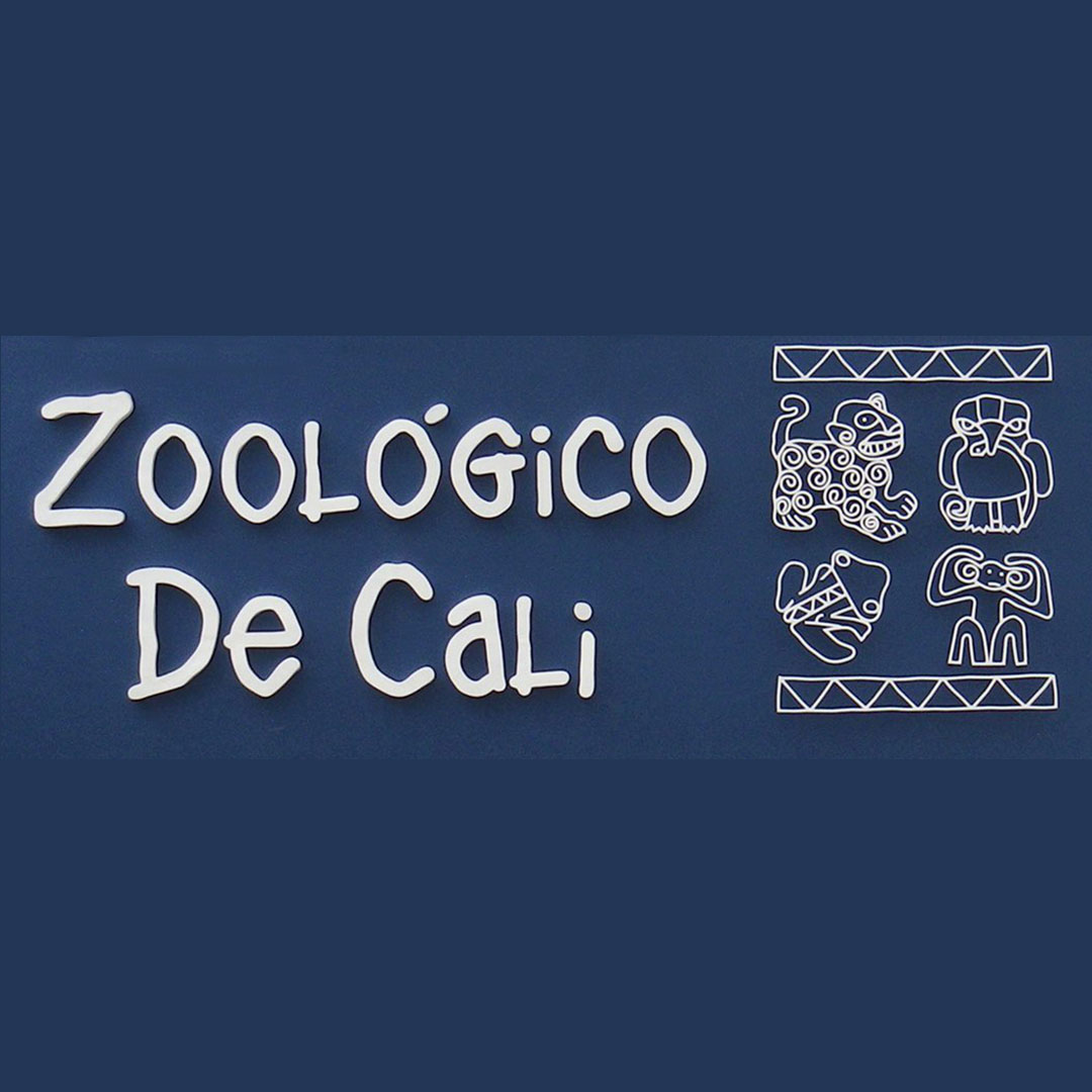 Zoologico-de-cali